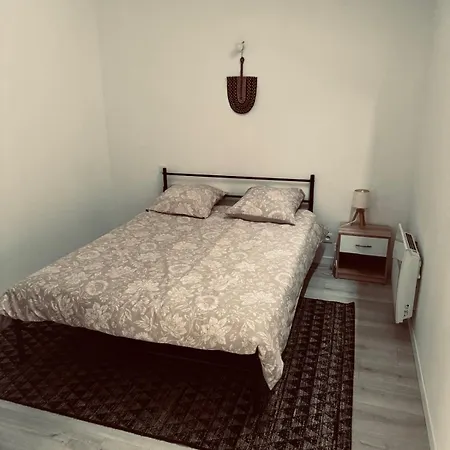 Apartment L Adresse Surgerienne - 4 Pers - Elegance & Confort Au Coeur De Surgeres